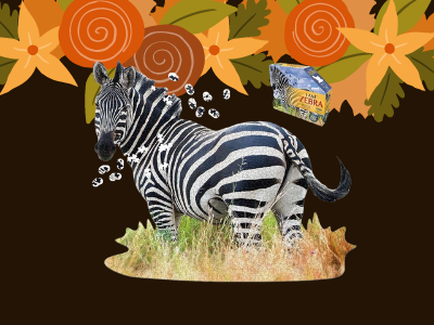 Zebra felnőtt puzzle